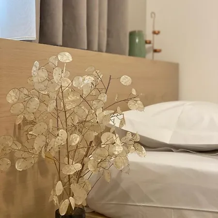 Nord House * Корча